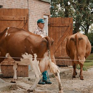 Bilder Quo Vadis Angeln?