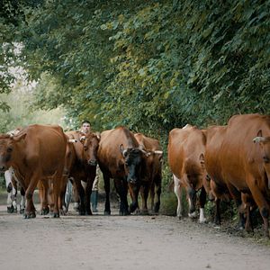 Bilder Quo Vadis Angeln?