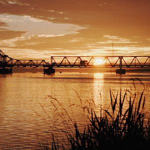 Bilder Quo Vadis Angeln?