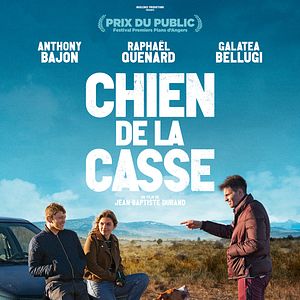 Bilder Straßenköter