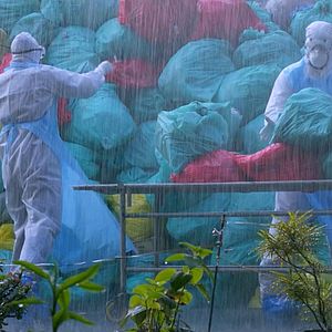 Bilder Virus - unsichtbarer Tod