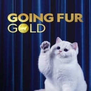 Bilder Auf alle Felle Gold!