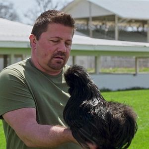 Bilder Auf alle Felle Gold!