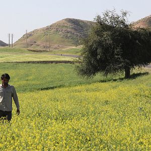 Bilder Hadi Mohaghegh