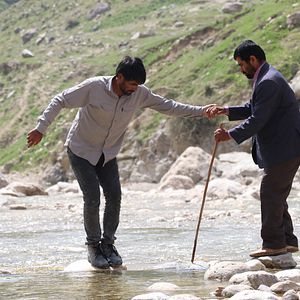 Bilder Hadi Mohaghegh