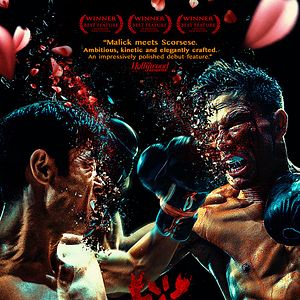 Bilder In Full Bloom