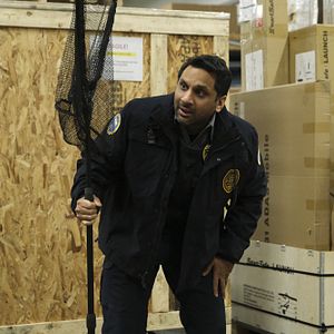 Bilder Animal Control