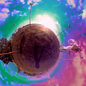 Bilder Love Is A Dog From Hell