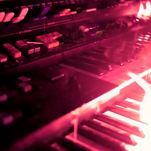 Bilder Love Is A Dog From Hell