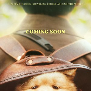 Bilder Hachiko - Eine Freundschaft für die Ewigkeit