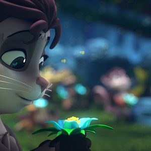 Bilder Der Wunschtraumbaum