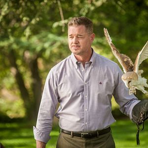 Bilder American Carnage