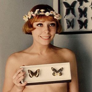 Bilder Tausendschönchen - kein Märchen