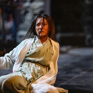 Bilder Donnie Yen's Sakra