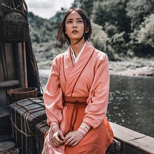 Bilder Donnie Yen's Sakra