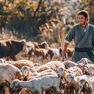 Bilder Donnie Yen's Sakra