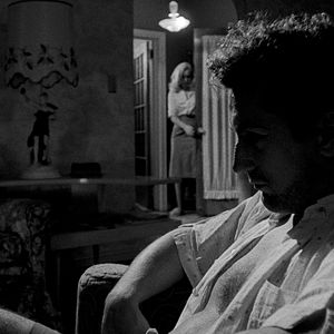 Bilder Wie ein wilder Stier