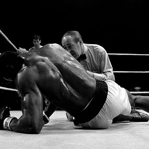 Bilder Wie ein wilder Stier