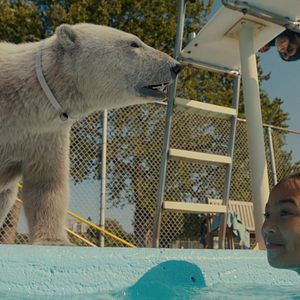 Bilder Janes tierische Abenteuer