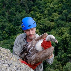 Bilder Benoît Maréchal