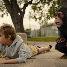 Bilder Janes tierische Abenteuer