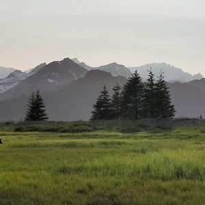 Bilder Giganten des Tierreichs