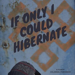 Bilder If Only I Could Hibernate