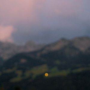 Bilder Jackie The Wolf