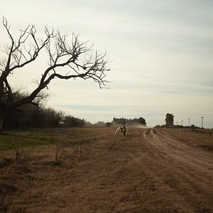 Bilder Trenque Lauquen Teil 2