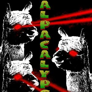 Bilder Alpacalypse