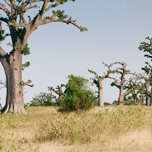 Bilder Nadège Bibo-Tansia