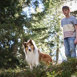 Bilder Nico Marischka