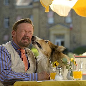 Bilder Lassie - Ein neues Abenteuer