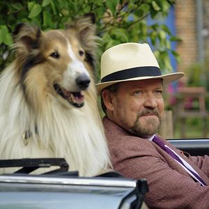 Bilder Lassie - Ein neues Abenteuer