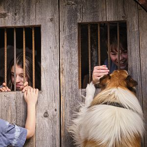 Bilder Pelle Staacken