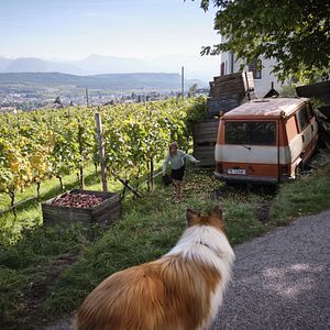 Bilder Maike Jüttendonk