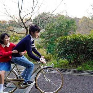 Bilder Stimme des Herzens - Whisper of the Heart