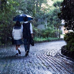 Bilder Stimme des Herzens - Whisper of the Heart