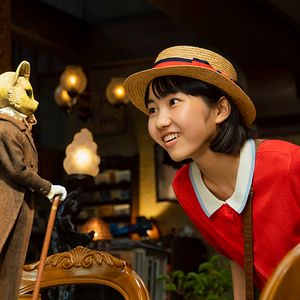 Bilder Stimme des Herzens - Whisper of the Heart