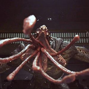 Bilder Mutant Ghost Wargirl - Krieg der Mutanten