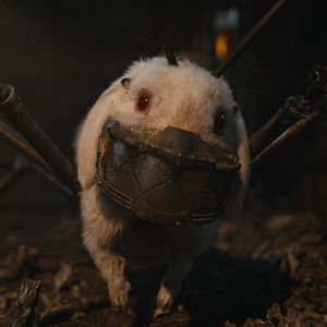 Bilder Guardians Of The Galaxy Volume 3