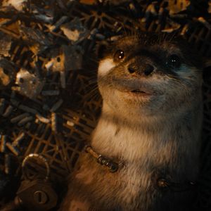 Bilder Guardians Of The Galaxy Volume 3