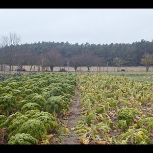 Bilder Ernte teilen - Anders Ackern für die Zukunft