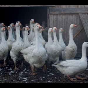 Bilder Ernte teilen - Anders Ackern für die Zukunft