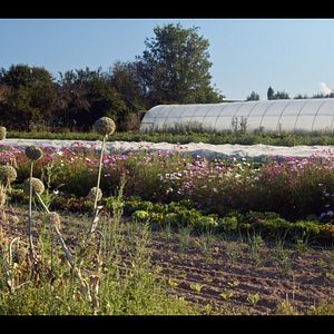 Bilder Ernte teilen - Anders Ackern für die Zukunft