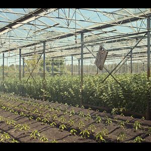 Bilder Ernte teilen - Anders Ackern für die Zukunft