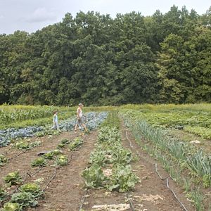 Bilder Ernte teilen - Anders Ackern für die Zukunft