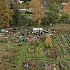 Bilder Ernte teilen - Anders Ackern für die Zukunft