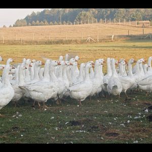 Bilder Ernte teilen - Anders Ackern für die Zukunft
