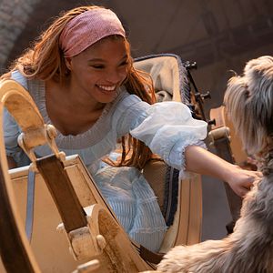 Bilder Halle Bailey
